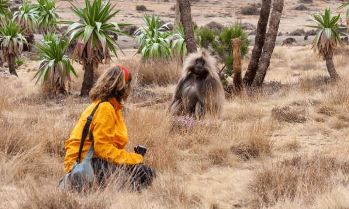 Things to do in Ethiopia