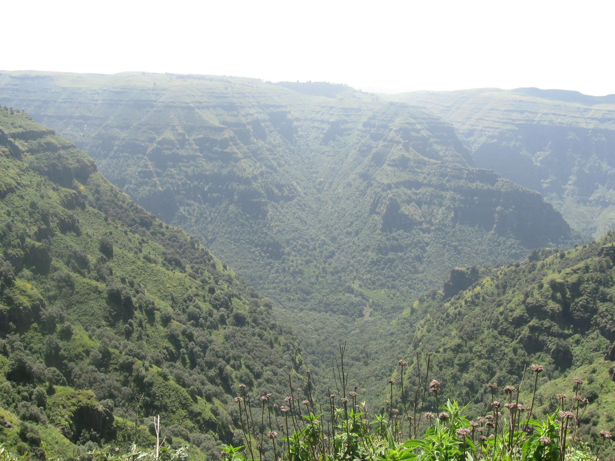 Simien Mountains